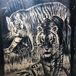 Saca la cobija del tigre: se aproxima fuerte descenso de temperatura en Ciudad Juárez