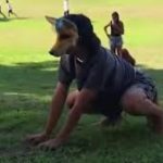 Veterinario ofrece “Cast-acio-nes” gratis a therians y desata polémica en redes